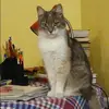 Отзыв от Наталия Дорофеева
